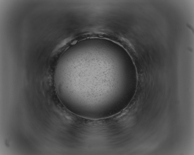 X0000091731159200709071453