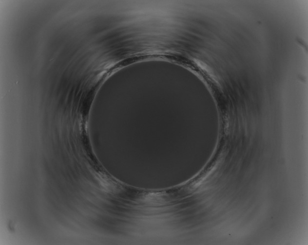 X0000091731161200709071453