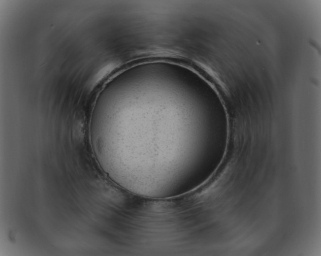 X0000091731163200709071453