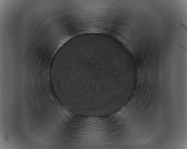 X0000091731170200709071453