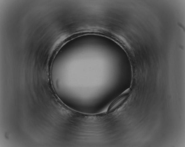 X0000091731172200709071453