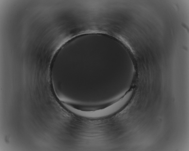 X0000091731173200709071453