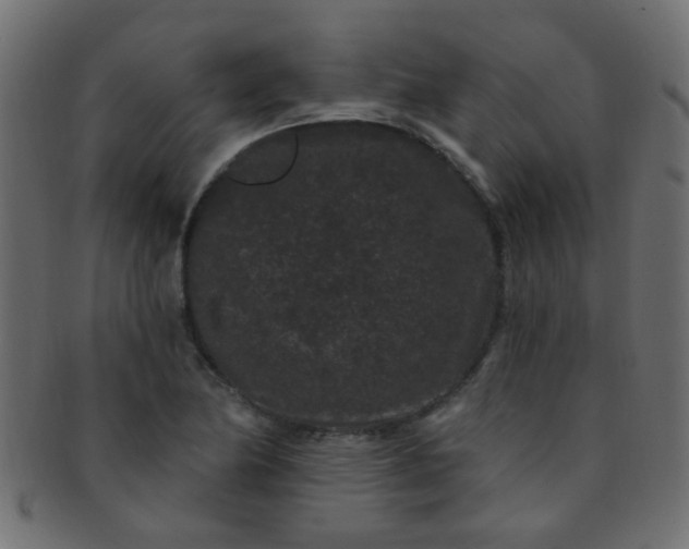 X0000091731174200709071453