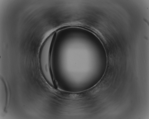 X0000091731176200709071453