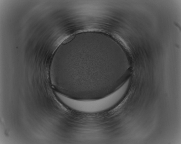 X0000091731177200709071453