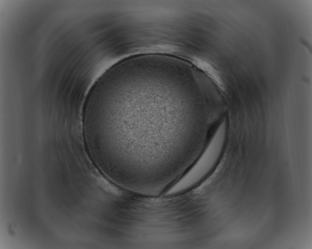 X0000091731184200709071453