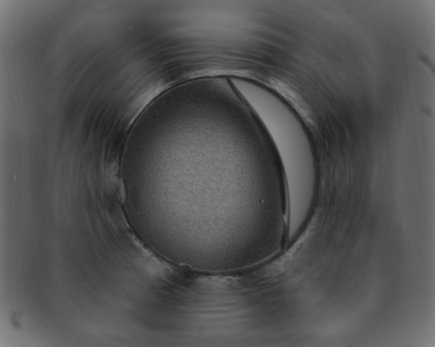 X0000091731185200709071452