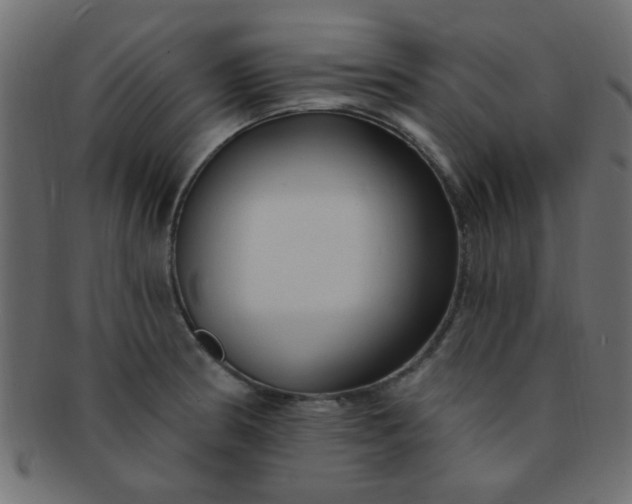 X0000091731186200709071452