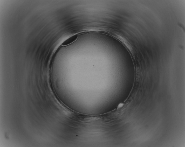 X0000091731187200709071452