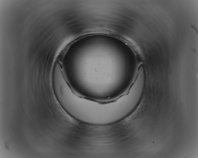 X0000091731188200709071452