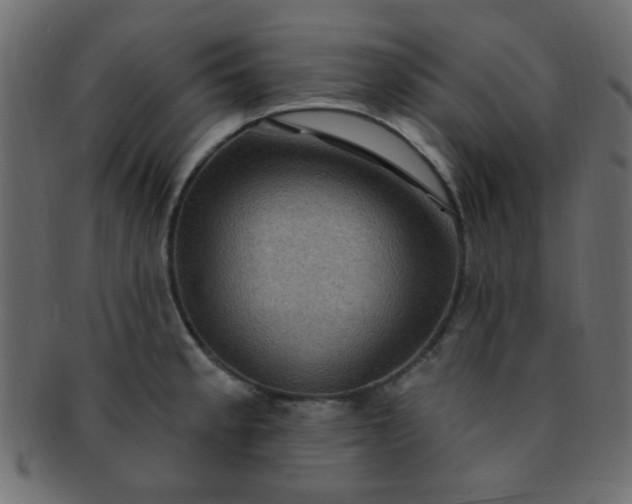 X0000091731189200709071452