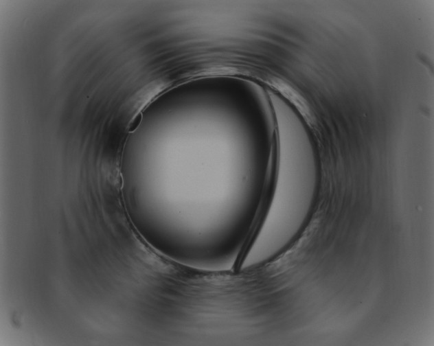 X0000091731193200709071452