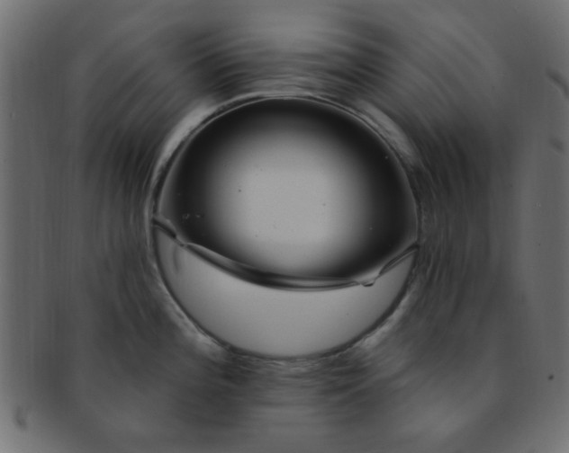 X0000091731196200709071452