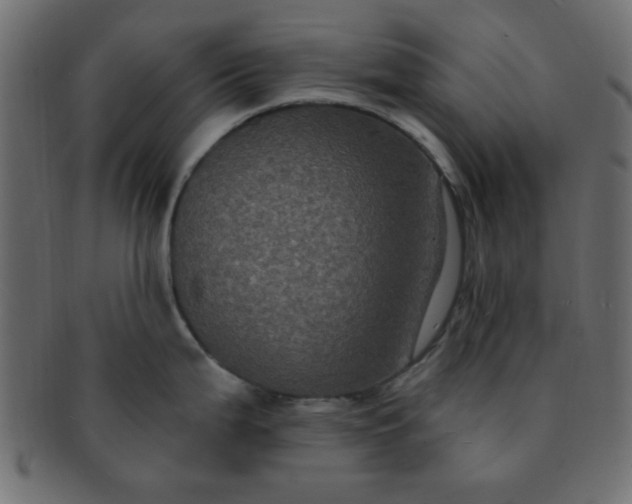 X0000091731199200709071452