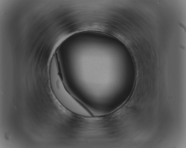 X0000091731200200709071452