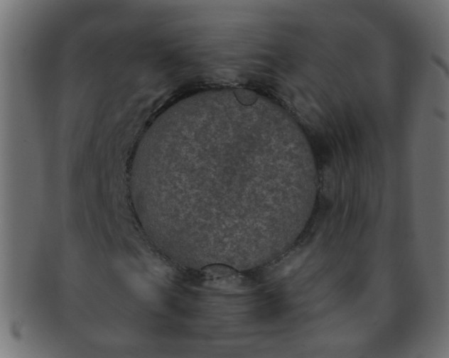 X0000091731201200709071451