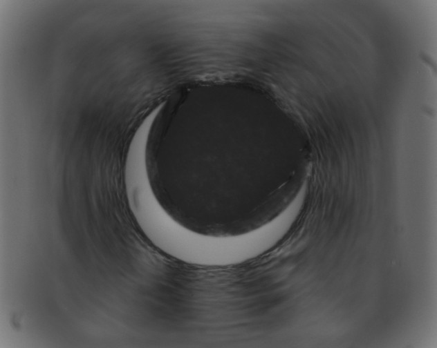 X0000091731202200709071451