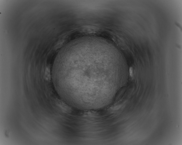 X0000091731203200709071451