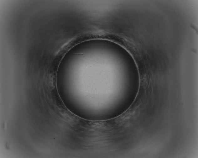 X0000091731205200709071451