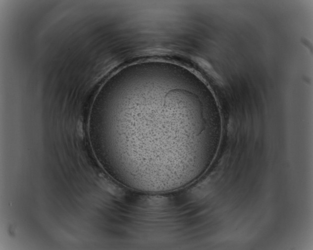 X0000091731209200709071452