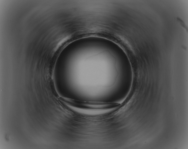 X0000091731210200709071452