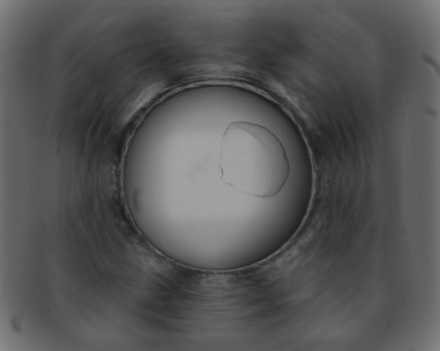 X0000091731211200709071452