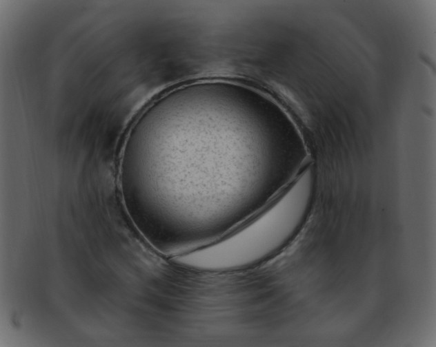 X0000091731212200709071452