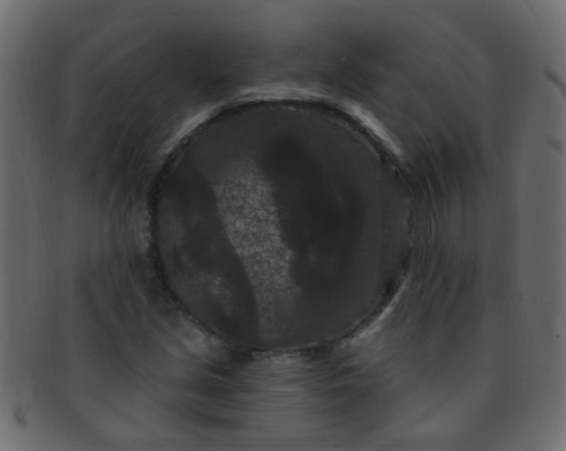 X0000091731213200709071452