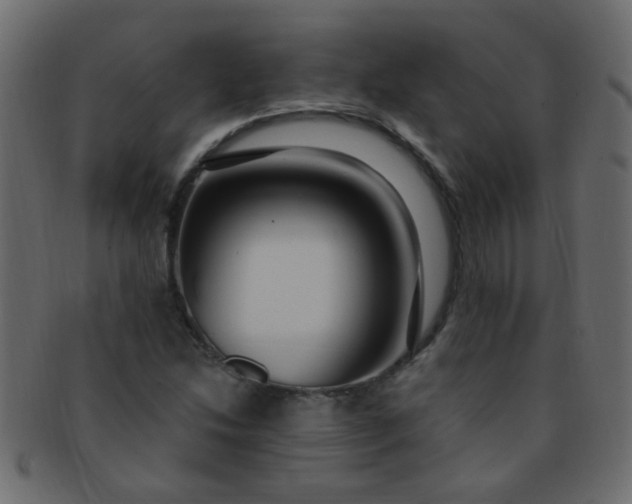 X0000091731214200709071452