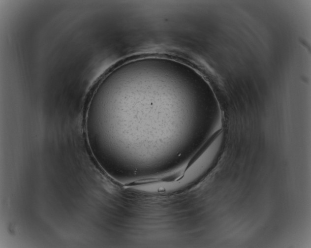 X0000091731216200709071452