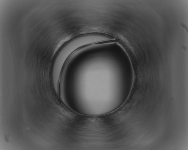 X0000091731218200709071452