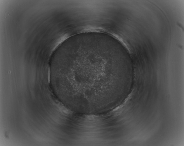 X0000091731219200709071452