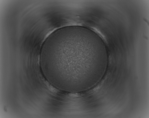 X0000091731220200709071452