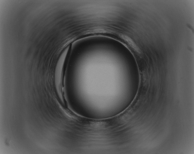 X0000091731225200709071452