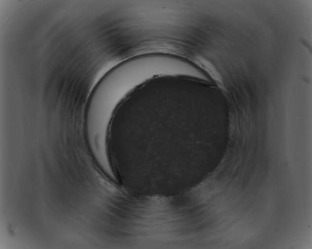 X0000091731226200709071452