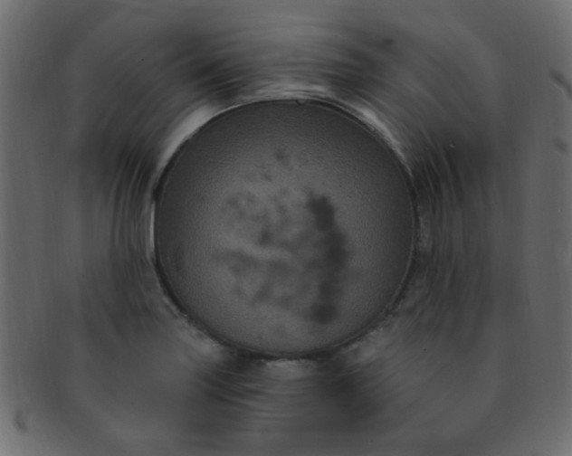 X0000091731227200709071452