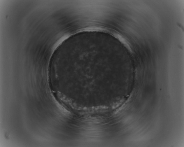 X0000091731229200709071452