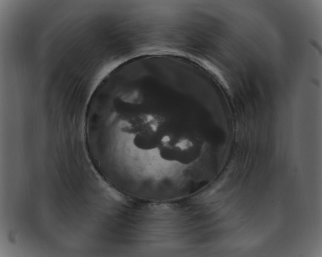 X0000091731231200709071452