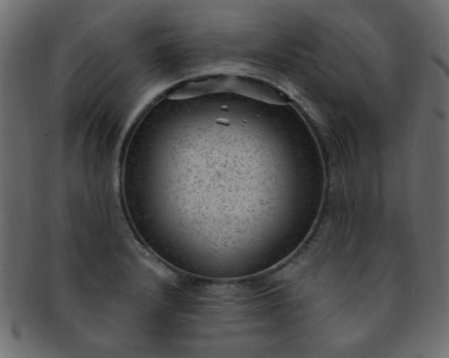 X0000091731232200709071452