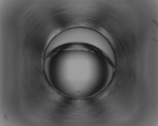 X0000091731234200709071452