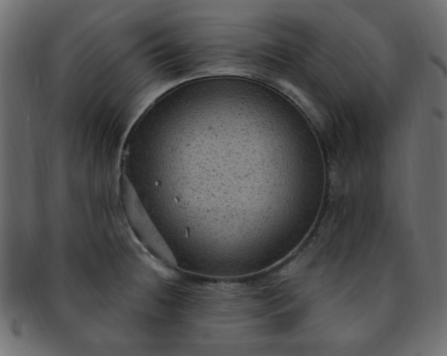 X0000091731236200709071452