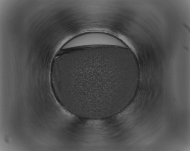 X0000091731237200709071452