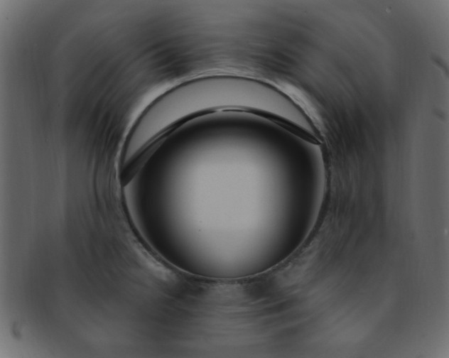 X0000091731238200709071452