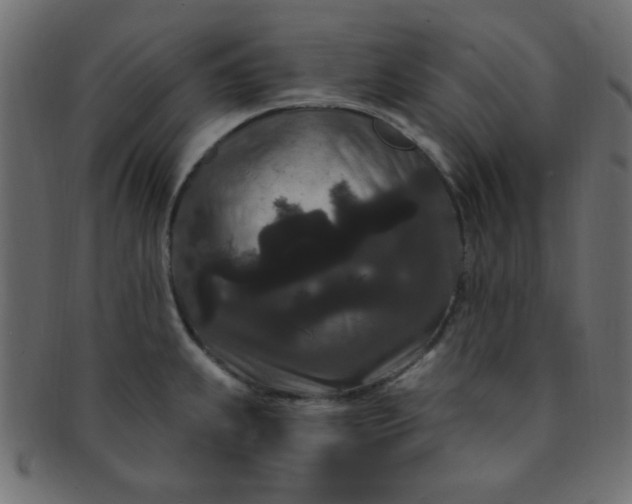 X0000091731239200709071452