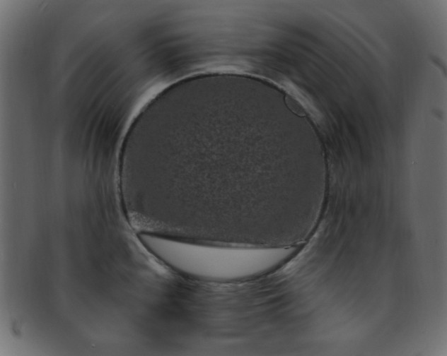 X0000091731240200709071452