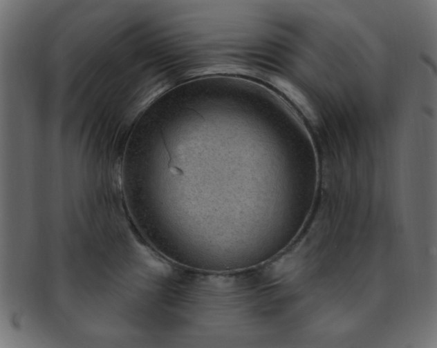 X0000091731241200709071452