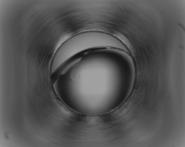 X0000091731242200709071452