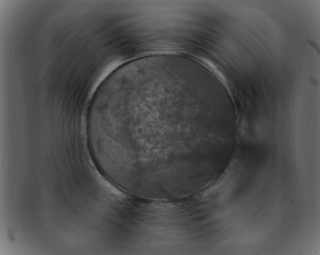 X0000091731243200709071452