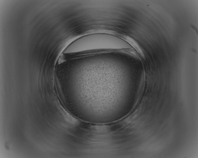 X0000091731244200709071452