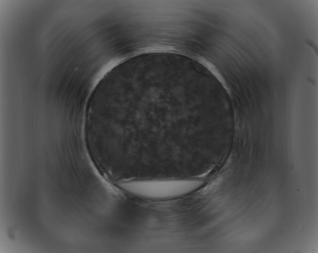 X0000091731245200709071452